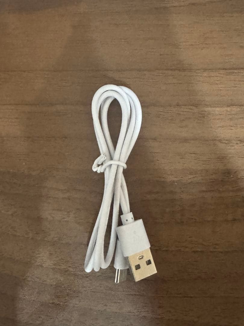 アンプロフェッショナル　LEDライト