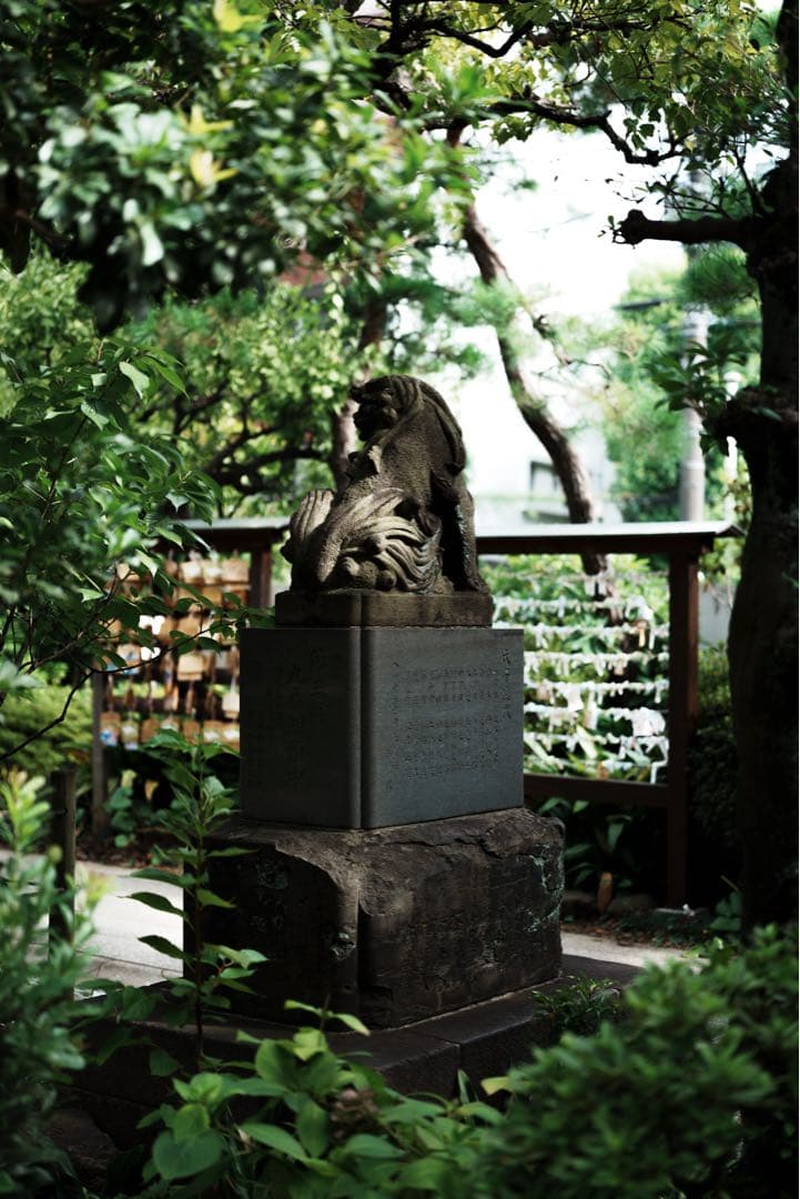 レンズ(単焦点) Viltrox AF 50/2.0 FE