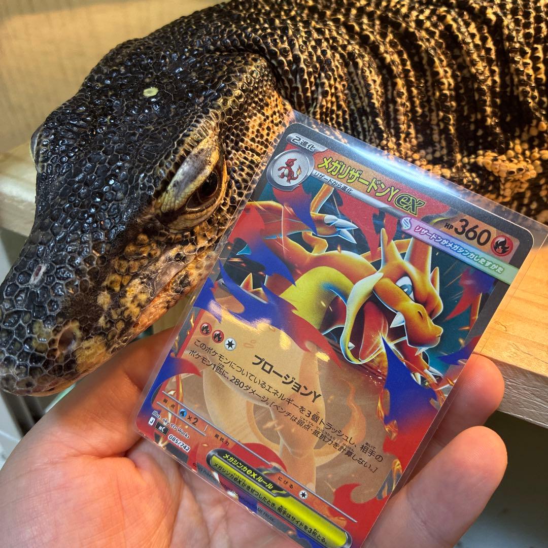 スタートデッキ100 メガリザードンY ex MC085/742