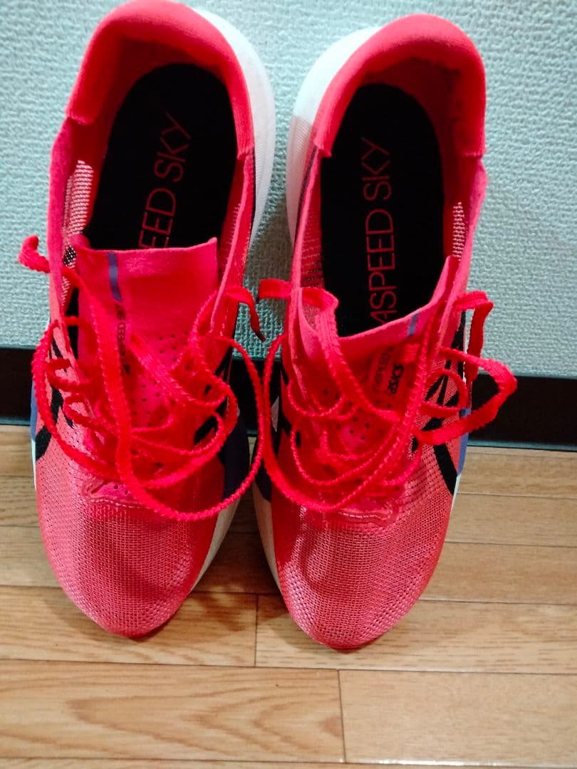 アシックス メタスピードスカイTOKYO 25.5cm