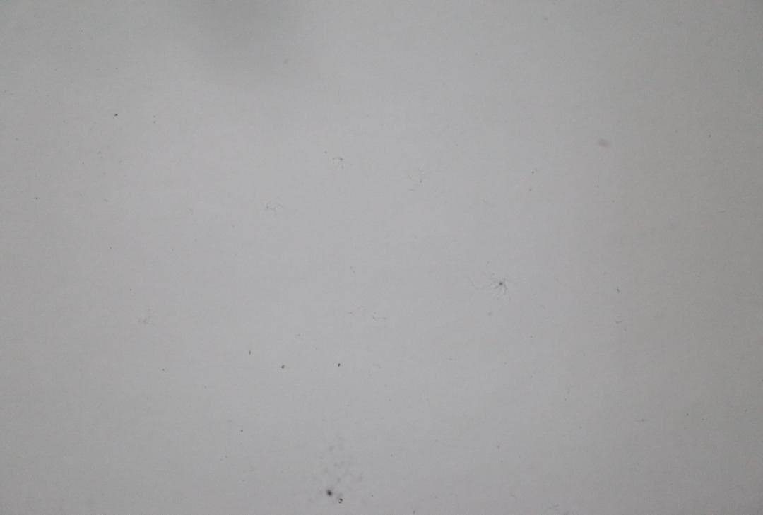 【実働・訳あり】GR2＋純正ワイコン GW-3セット＋本