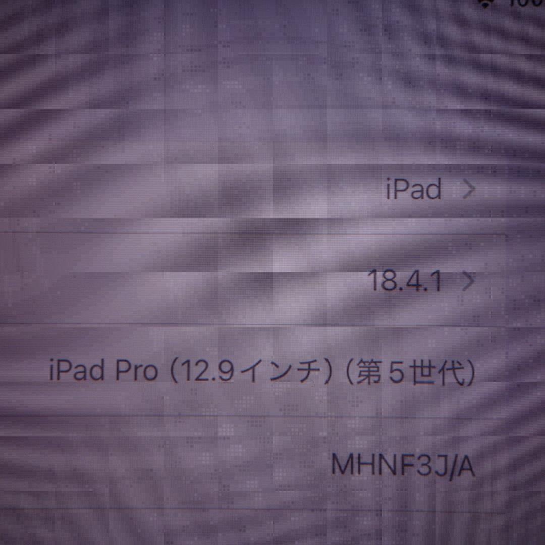 240）訳あり iPad PRO 12.9インチ（第5世代） 128GB