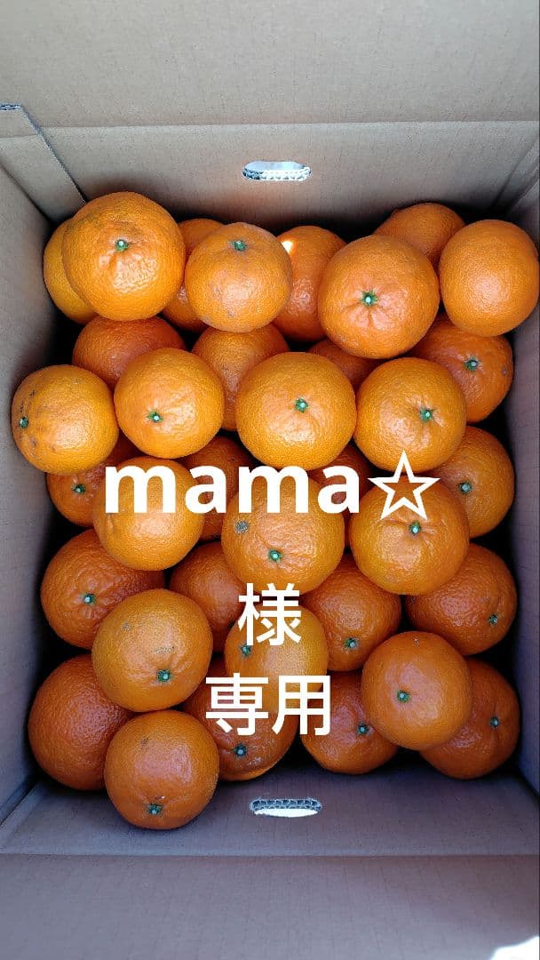 津之輝10㎏(家庭用)mama✩#5