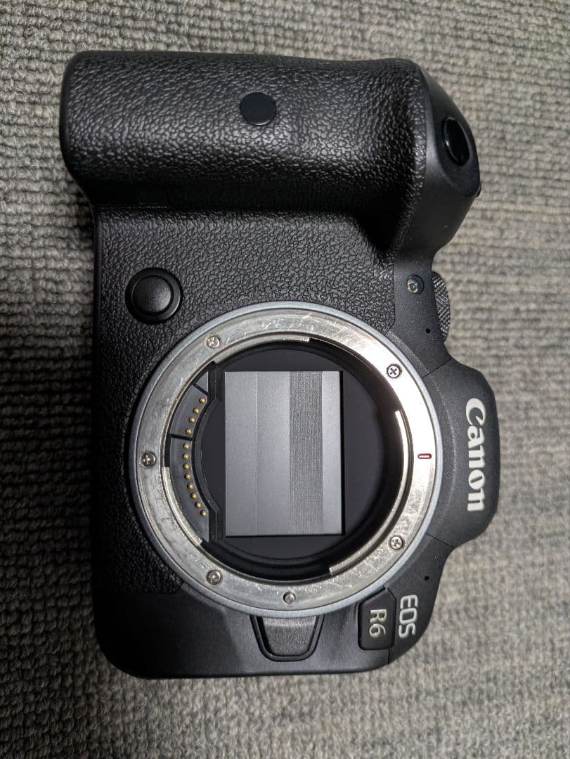 Canon EOS R6 ボディとその付属品