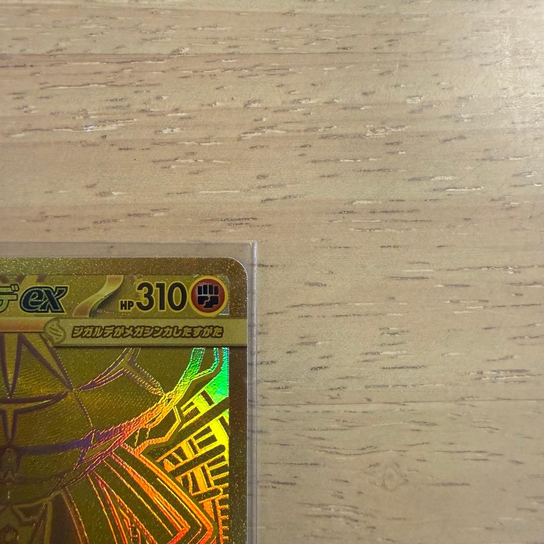 カ*店様 シュリンク付 ムニキスゼロ 1BOXとメガジガルデMURのセット