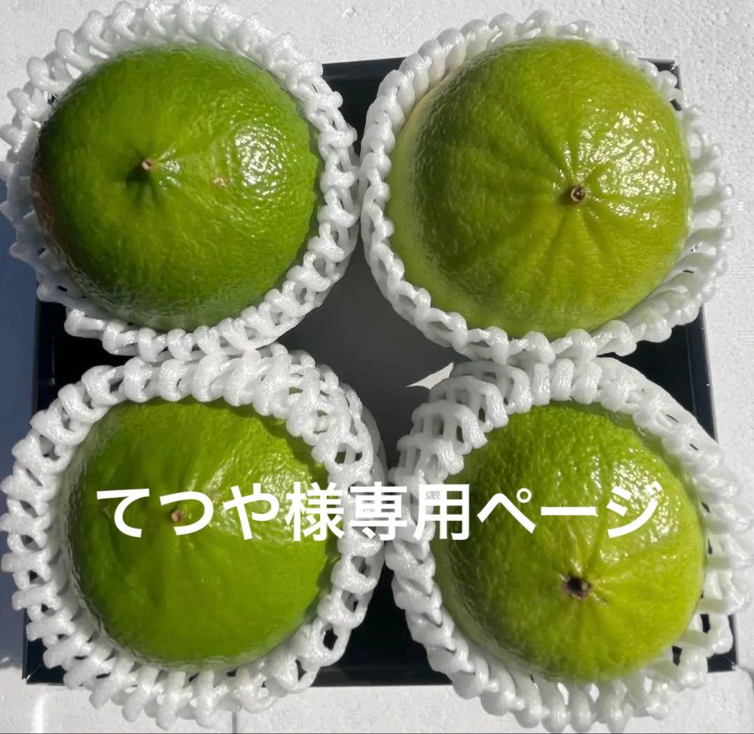 国産ベルガモットオレンジ☆香りが強い露地栽培　約8kg 送料込み ☆【A品】