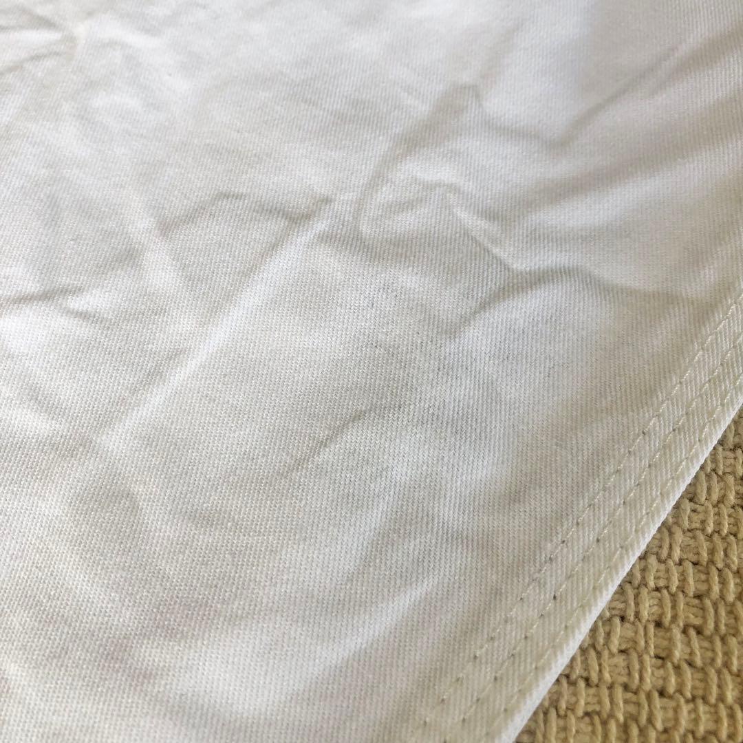 Dickies SHERWIN WILLIAMS ペインターパンツ 白42