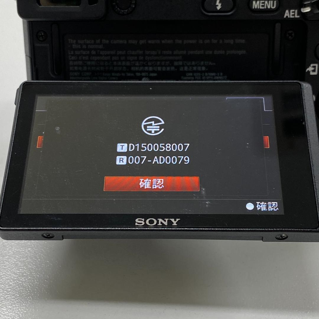 Sony a6300 動画撮影セット