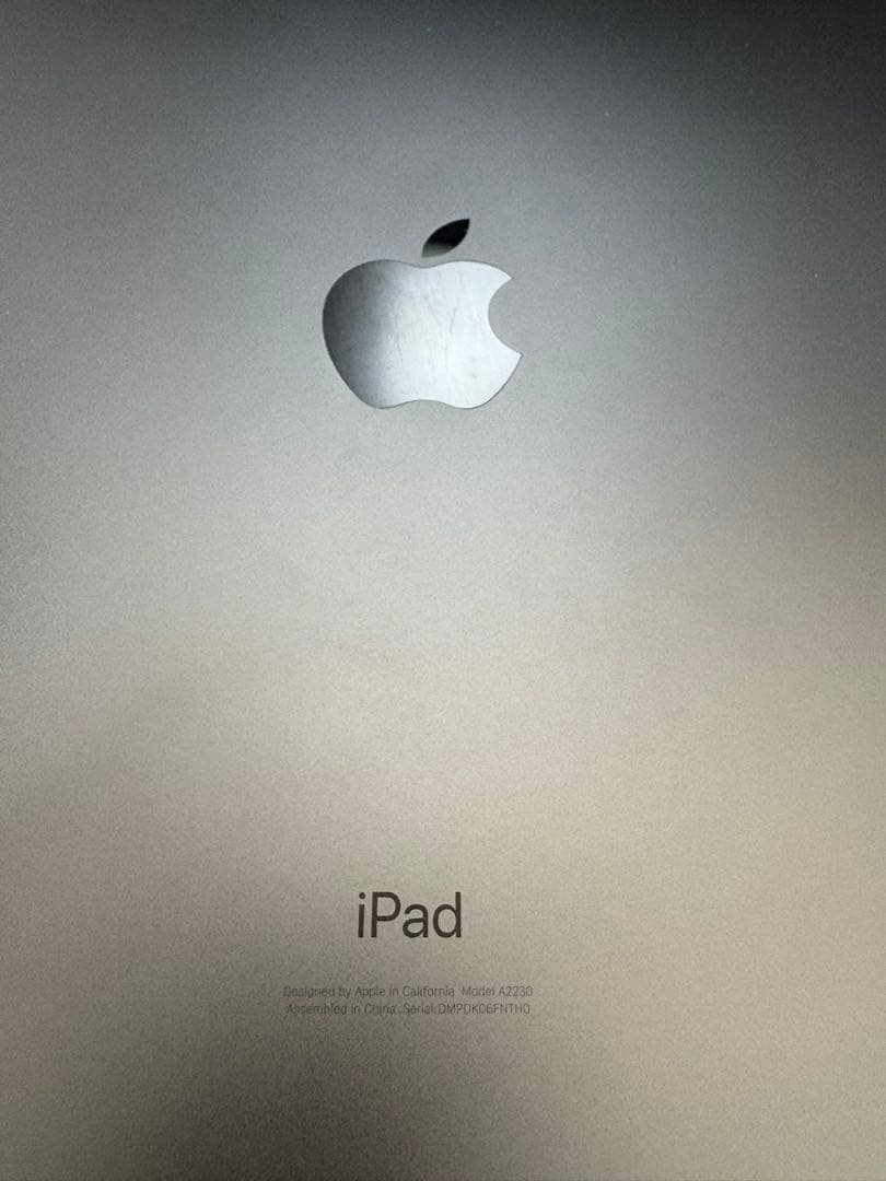 【超お得３点セット美品】iPad Pro 11インチ (第2世代)