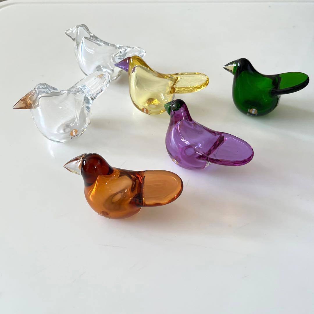 【廃盤品】2015年スコープ別注★イッタ／Sieppo・シエッポ