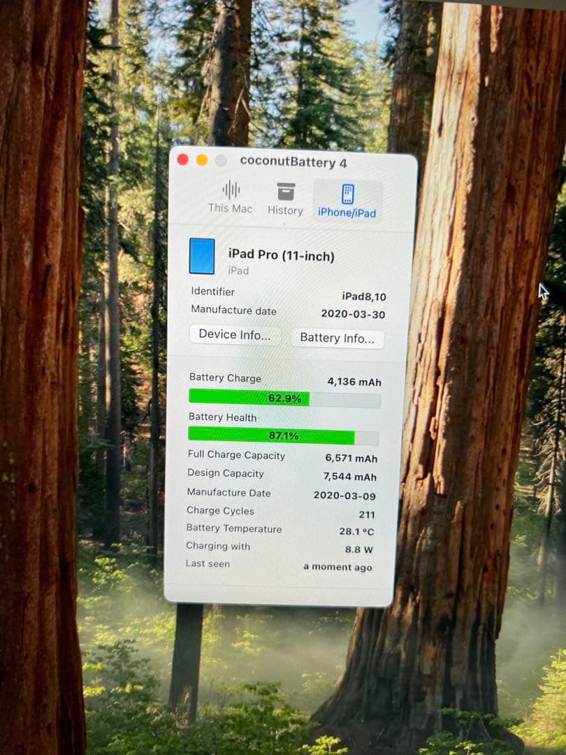 iPad Pro 11インチ 第二世代 128GB Wifi+Cellular