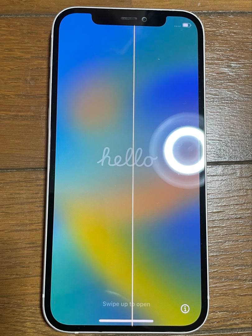 Apple iPhone 12 本体