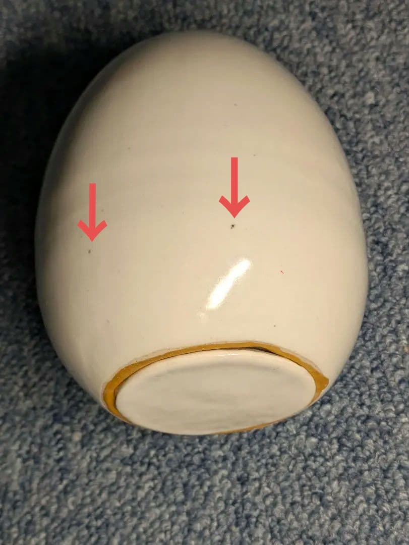 ラドンガス発生器　ラジウム鉱石　ホルミシス効果