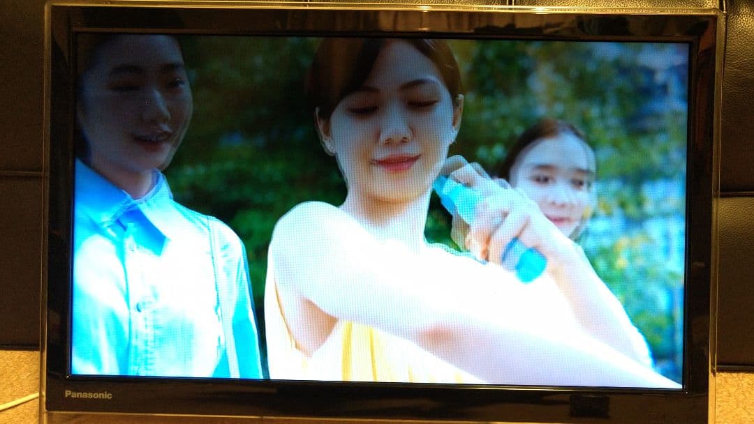 値下げ　Panasonic プライベートビエラ　19インチ