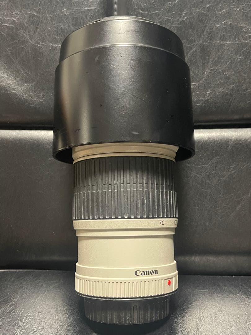 L*y様 ＣＡＮＯＮ　ＥＦ７０－２００ｍｍ　Ｆ４Ｌ　ＩＳ　ＵＳＭ