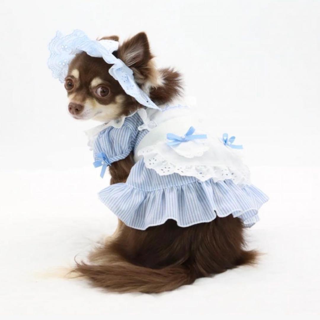 新品　リュクスバーディ Luxe birdie エマーブルワンピース　ブルー