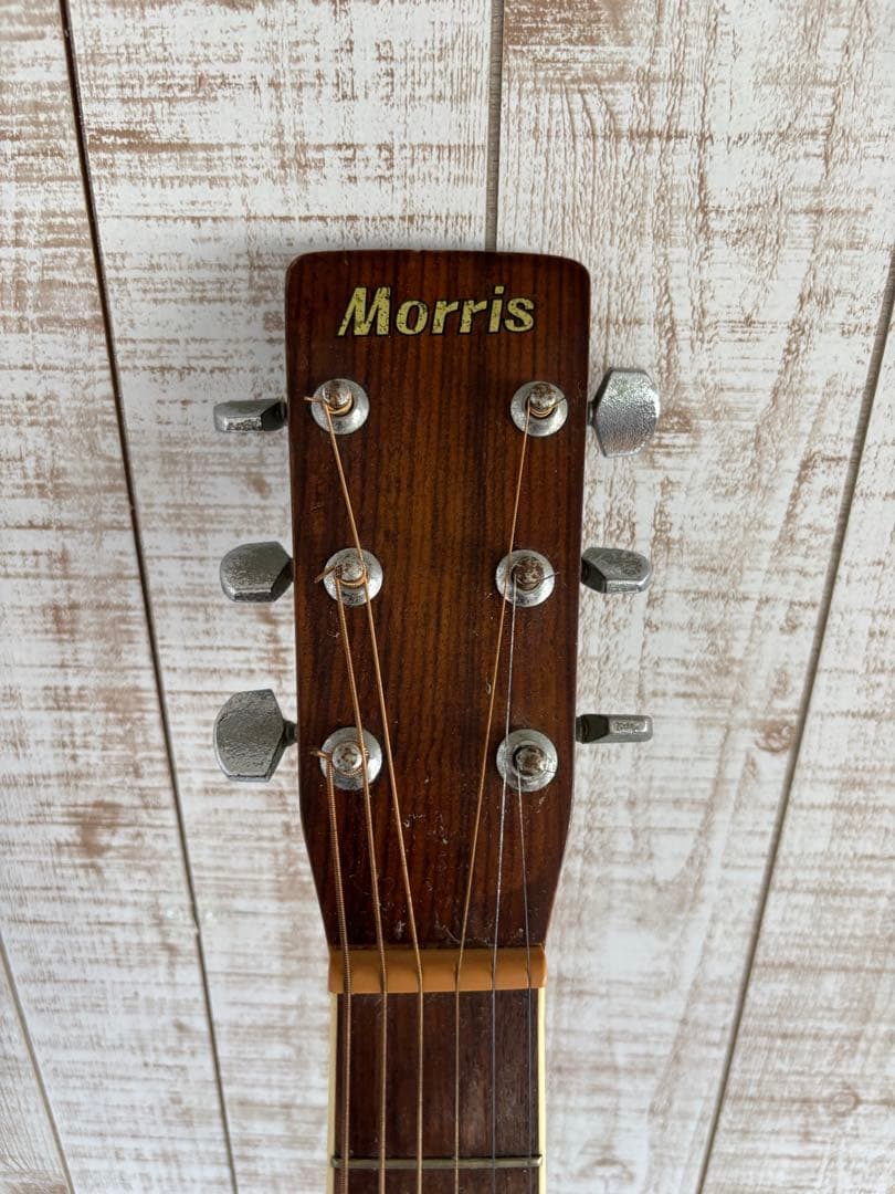 Morris アコースティックギター