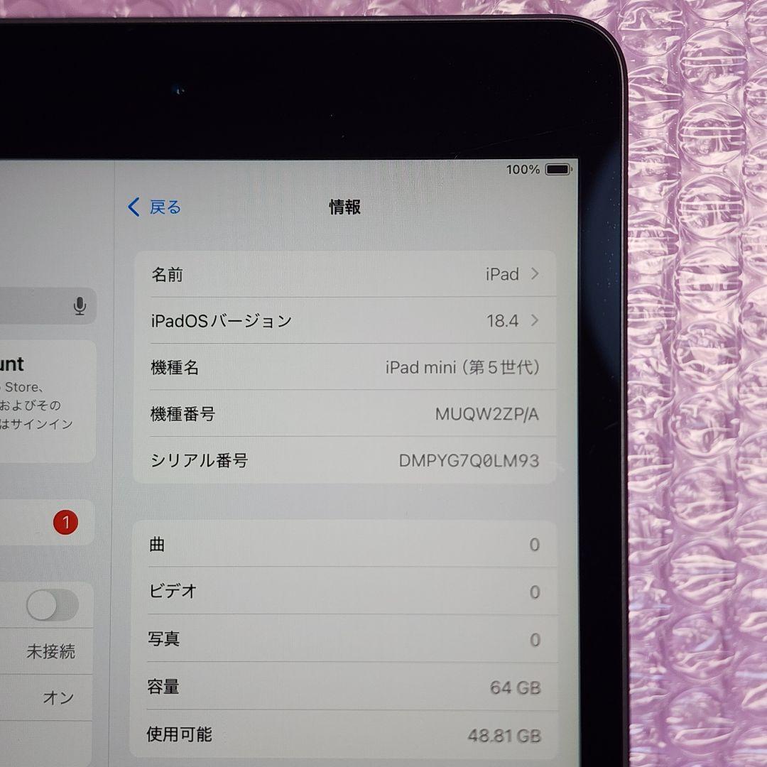 美品　iPad mini 第5世代　バッテリー最大容量85%　Wi-Fiモデル