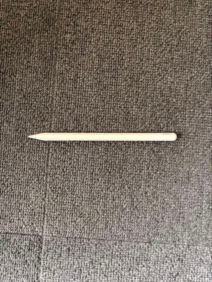 Apple iPad Pro 第3 512GB