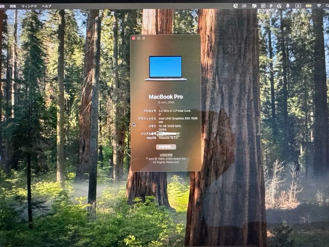 【SSD1TB】MacBook Pro 15インチ Corei7 USキーボード