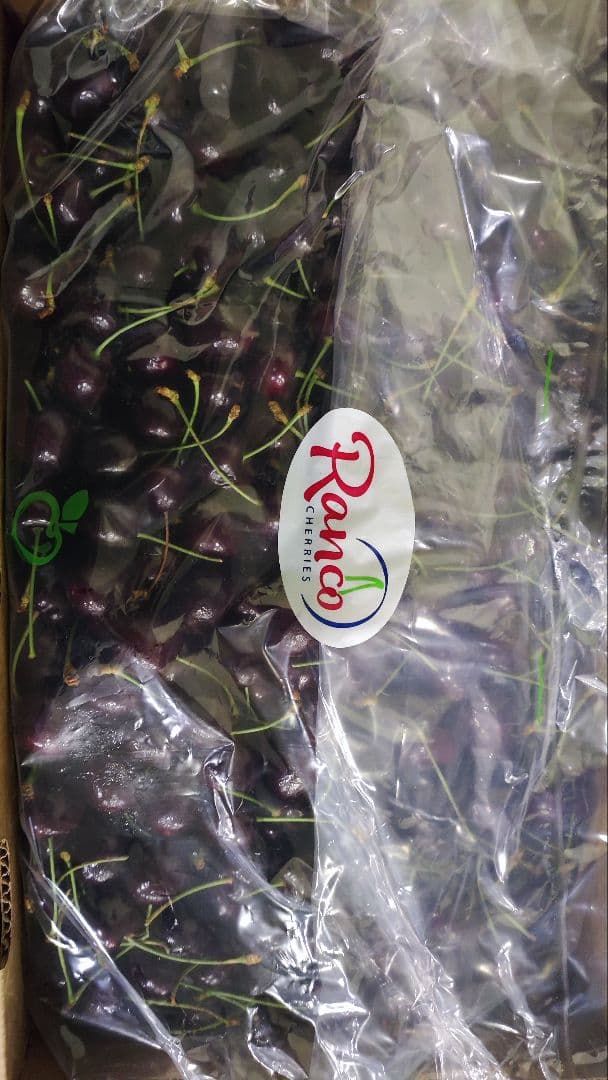 明*日様 チリ産　チェリー　5キロ