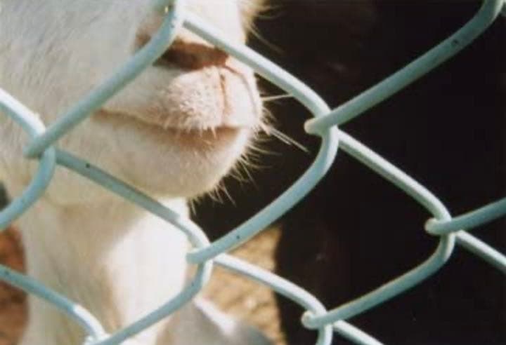 まとめ売り★ レア 新品 BOOK CAMERA ブックカメラ トイカメラ 本型