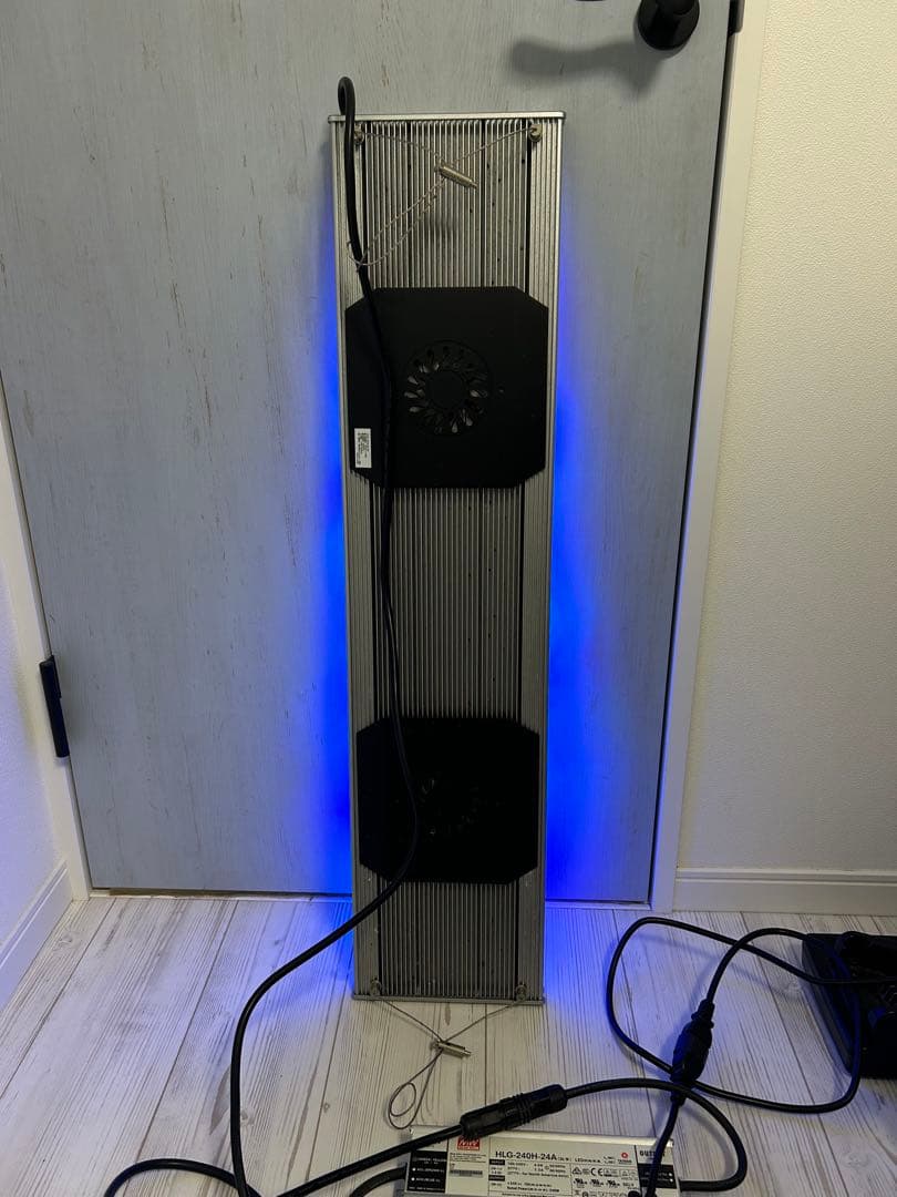 サンゴ　ZOOX レブロン90 美品　ハイスペック照明