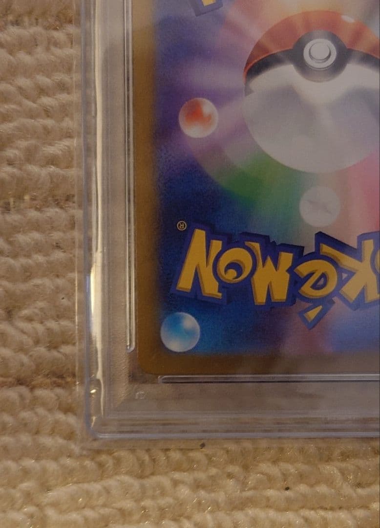 【PSA10】ミカンのまなざし　SAR