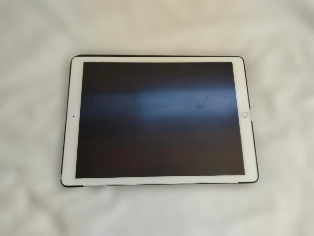 ipad pro 12.9インチ　第一世代　アップルペンシル他付属品付き