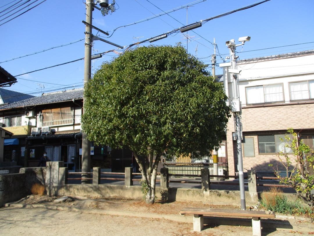 【美品✨】Canon IXY 160 コンデジ CCDセンサー 動作品