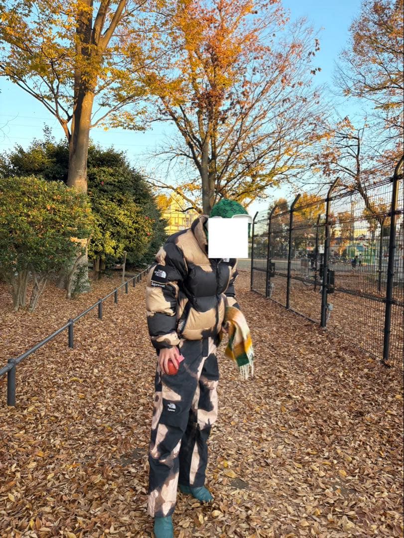 Supreme The North Face Bleached セットアップ