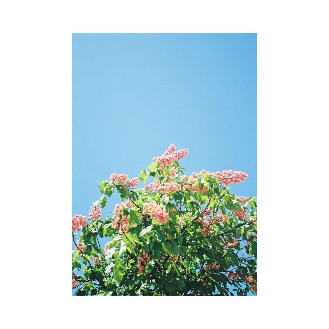 ⌘完動品！ 作例あり、電池付き！ OLYMPUS OZ 150R⌘