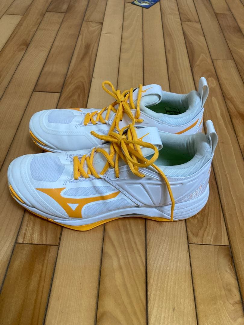 専用　WAVE MOMENTUM 2 バレーボールシューズ　26.0cm