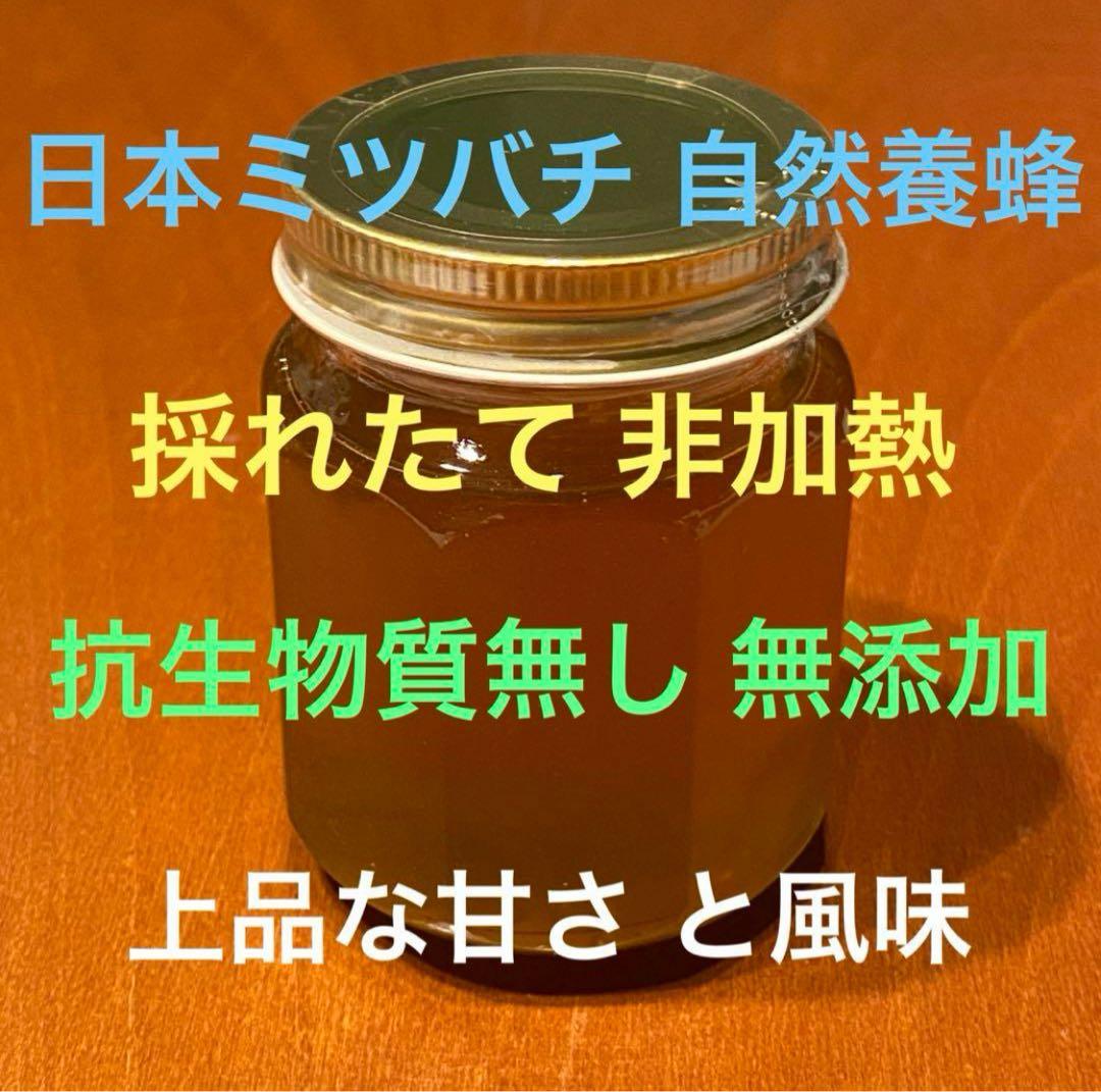 りなんてぃー 日本ミツバチ とろとろはちみつ+コムハニー 無添加抗生物質無