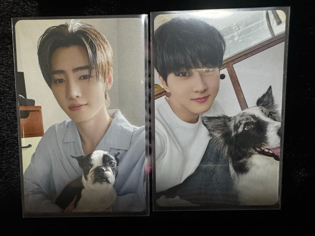 2025 アンケートトレカ ジョンウォン ソンフン ENHYPEN