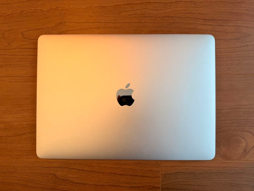 MacBook Pro M1 13 インチ 16GB/256GB シルバー