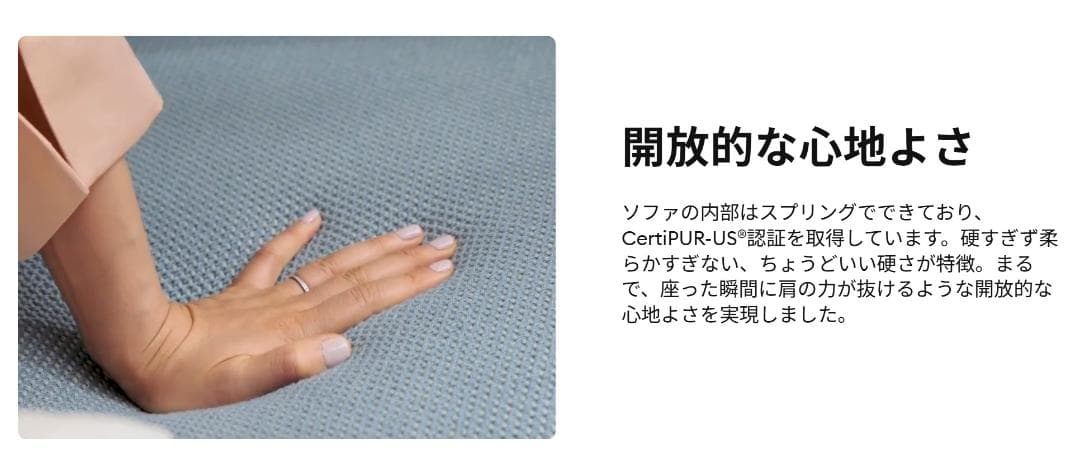 ⭕️コアラソファーCHILLAX✅美品✅ 地域限定★無料配送 & 組立設置★