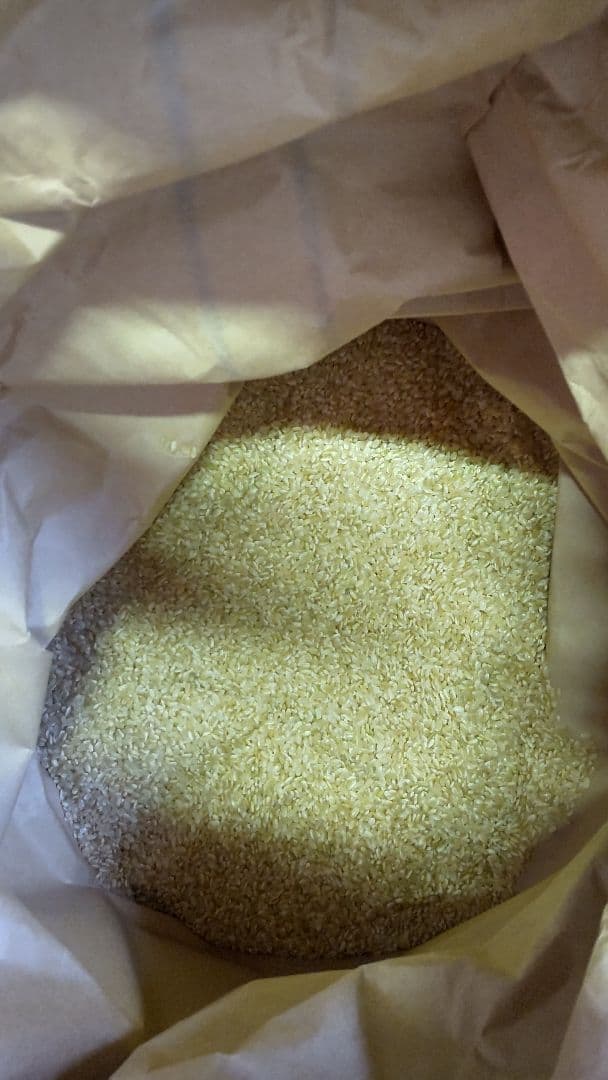 令和7年産 ヒノヒカリ 玄米 30㎏