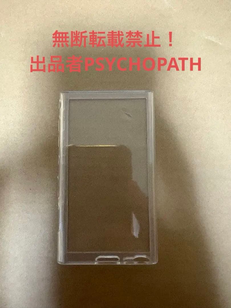 SONY NW-A307 64GB フィルム・SanDisk SD256GB付