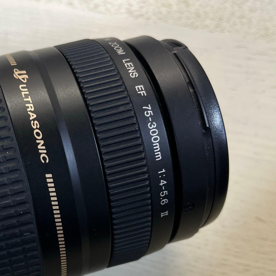 Canon EF 75-300mm ULTRASONICレンズセット