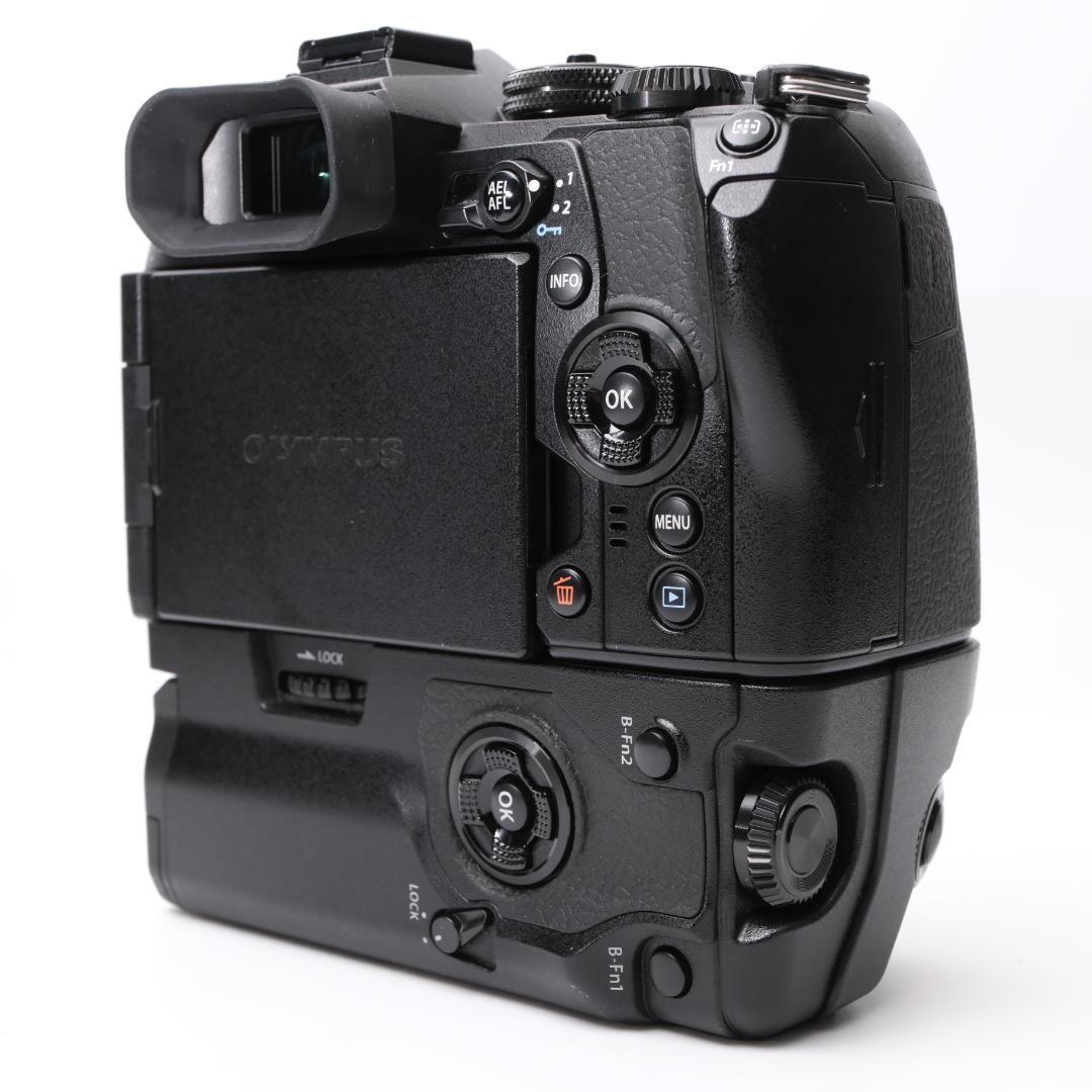 綺麗 OLYMPUS OM-D E-M1 Mark II + HLD-9