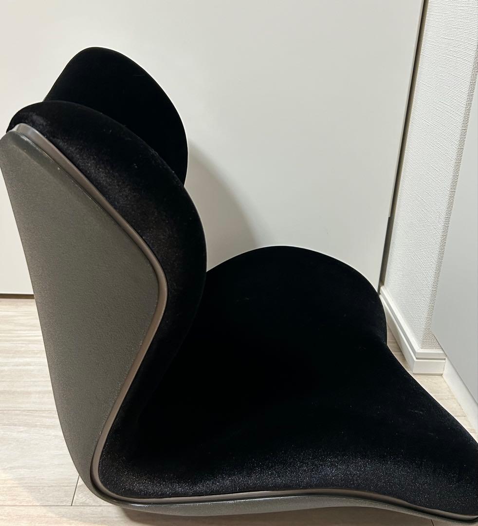 Style PREMIUM DX リッチブラック