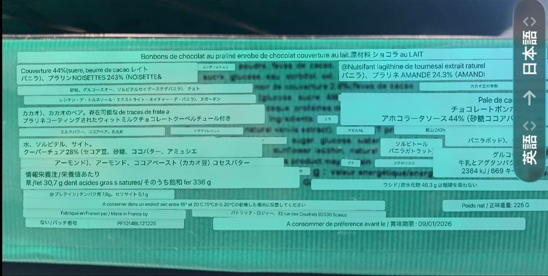 パトリックロジェ　ロシェ　２０個入り　チョコレート