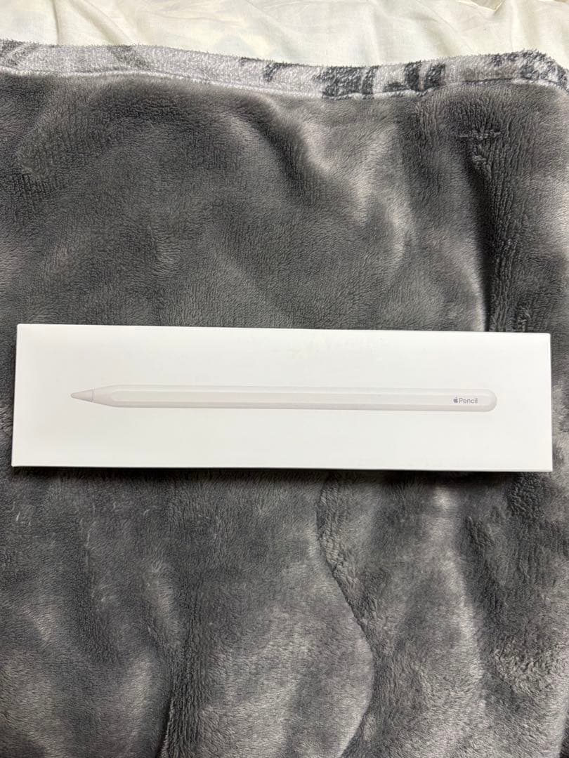 Apple iPad Air (第5世代) スペースグレー本体