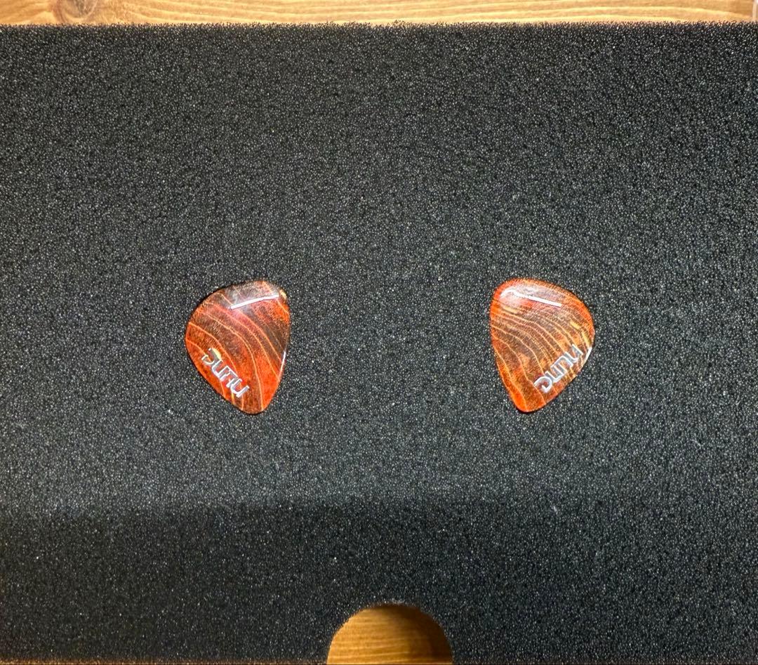 DUNU DaVinci イーイヤホン長期保証加入