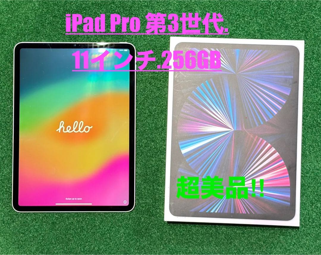 iPad Pro 11 インチ 第3世代 Wi-Fi - 256 GB -