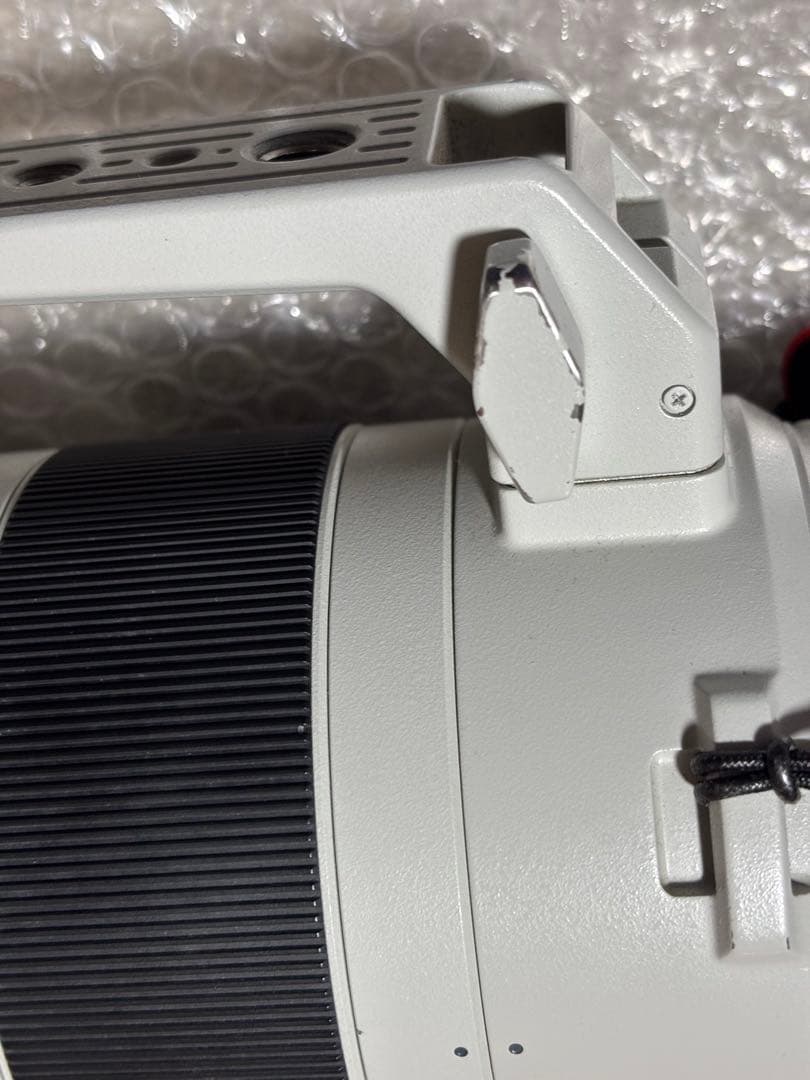 ソニー　SONY FE 200-600mm F5.6-6.3 G OSS