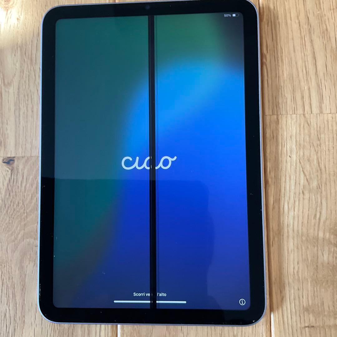 iPad mini 水没　ジャンク品