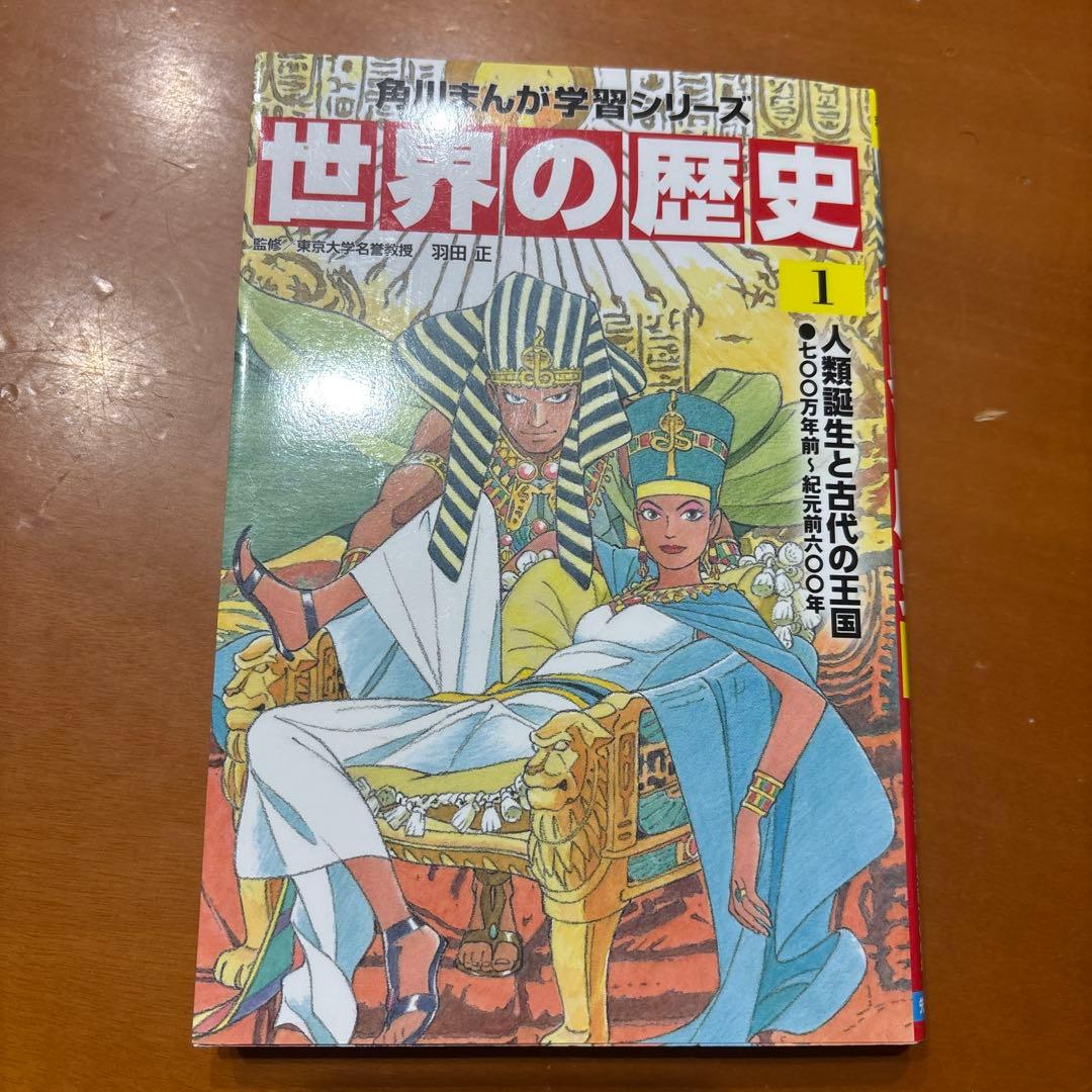世界の歴史 20冊　まとめ売り