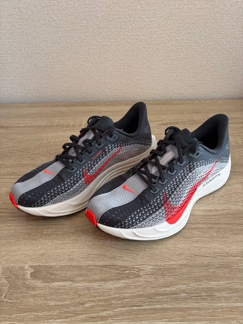 １回使用 ナイキ ペガサスプラス NIKE 25cm メンズ